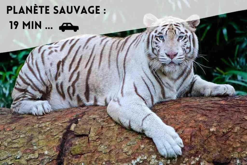 ブーグネLe Dolceアパートメント エクステリア 写真